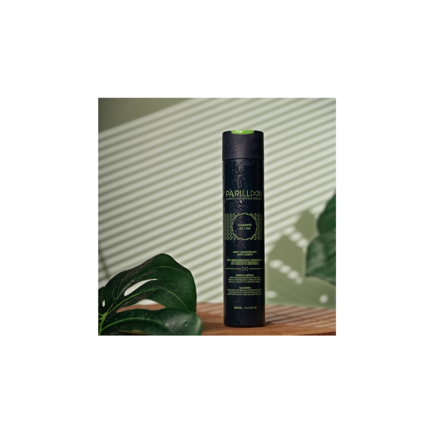 Papillon Champô Antiqueda/Caspa 300 ml