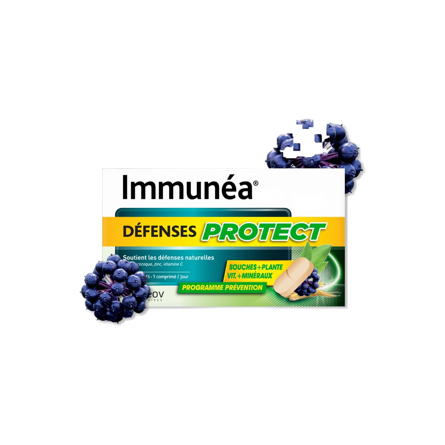 Immunéa Defesas Protect Comprimidos 30 Unidades