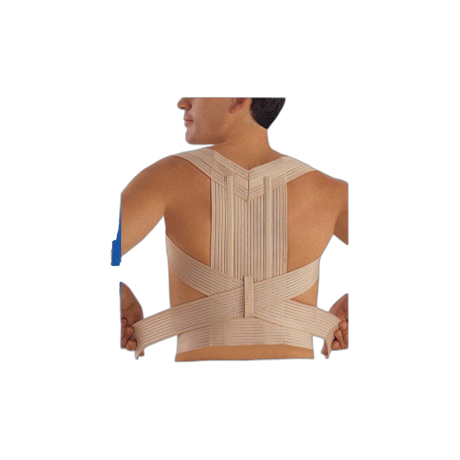 Scudotex Correct Dorsal 624 T2 Beg